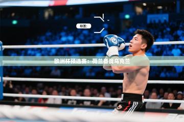 欧洲杯预选赛：荷兰备战乌克兰