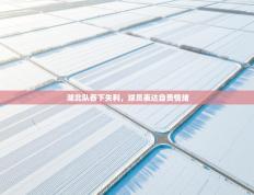 湖北队吞下失利，球员表达自责情绪