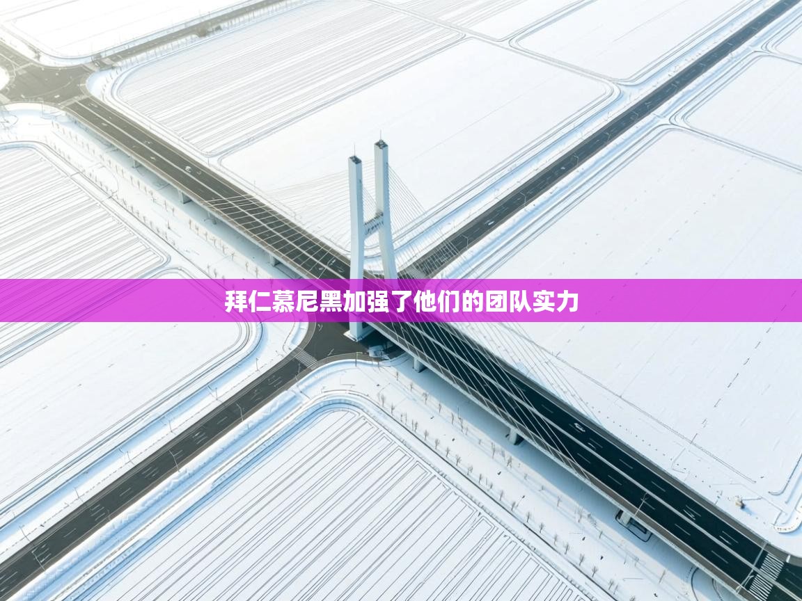 拜仁慕尼黑加强了他们的团队实力  第2张