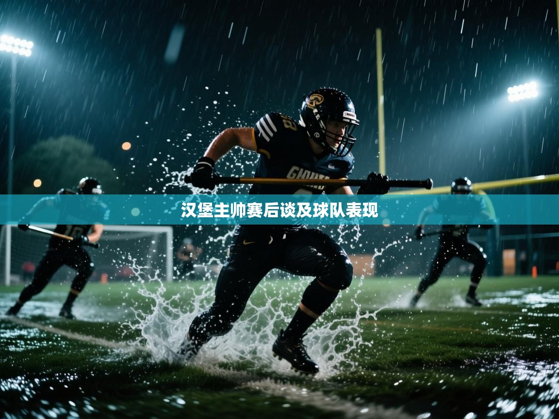 汉堡主帅赛后谈及球队表现  第1张