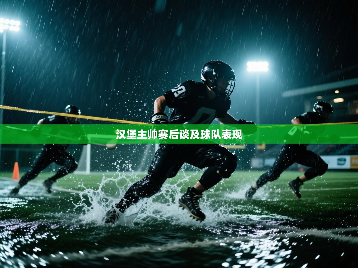 汉堡主帅赛后谈及球队表现  第2张