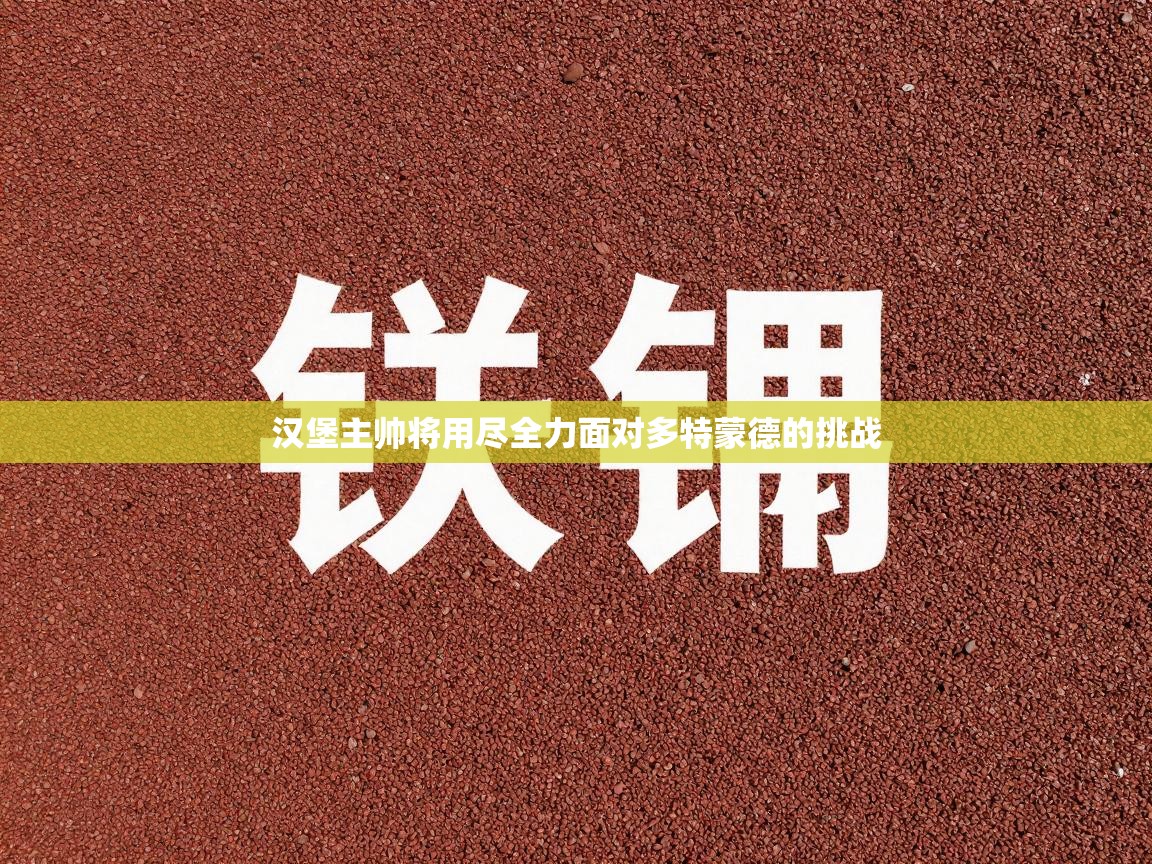 汉堡主帅将用尽全力面对多特蒙德的挑战  第1张